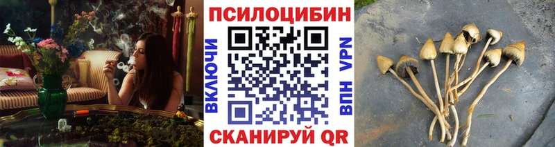 Галлюциногенные грибы GOLDEN TEACHER  MEGA зеркало  Петухово 