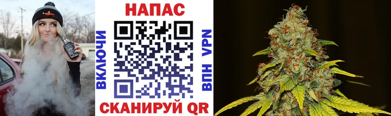Каннабис White Widow Петухово